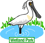 Wetland Park