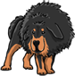 Tibetan Dog (Tibetan Mastiff)