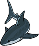 Shark Museum