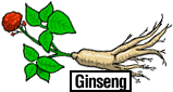 Ganghwa Ginseng