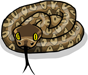 Korean Ratsnake