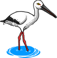 Yesan Oriental Stork Park