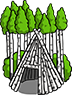 Wondaeri Birch Forest
