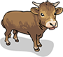 Korean Beef