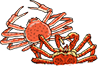 Snow Crab and Red Carb Festival