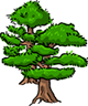 Anmyeondo Recreational Forest
