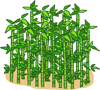 Juknokwon (Bamboo Garden)