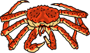 Yeongdeok Snow Crab