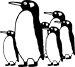 Penguin Village