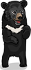  Asian Black Bear