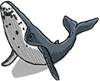 Whale Culture Village