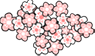 Simni (4km) Cherry Blossom Road