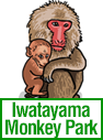 Iwatayama Monkey Park