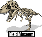 Field Museum