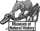 National Museum of Natural History
