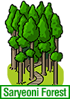 Saryeoni Forest