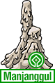 Manjanggul