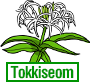 Tokkiseom