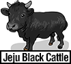 Jeju Black Cattle