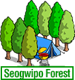 Seogwipo Forest