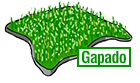 Gapado Island