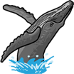 Humpback Whale