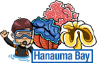 Hanauma Bay