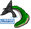 Molokini