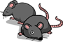 Chuot Dong Nuong (Rat Barbecue)