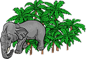 Elephant Nature Park