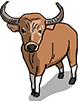 Banteng