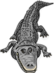 Samutprakarn Crocodile Farm