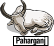 Paharganj 