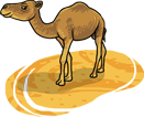 Kavir Desert