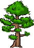 Nijinomatsubara (Pine Forest)
