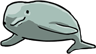 Finless porpoise