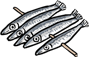 Korean Sandlance