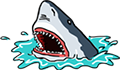 North Shore Shark Adventures