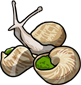Escargot