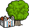 Tree of Tule