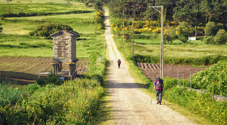 Camino de Santiago